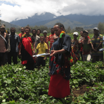 FPDA's Lonica Aris standing in a crop field with farmers at the Field Trial site in Kuka village, Asaro Valley, Eastern Highlands province 