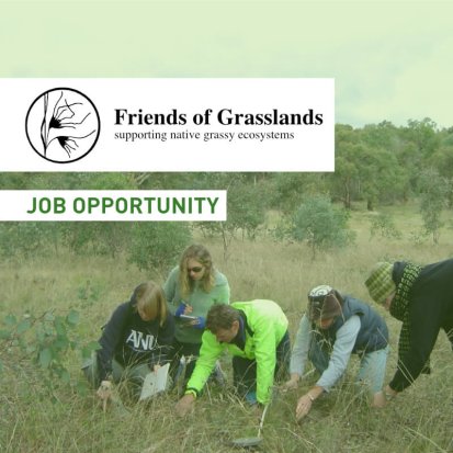 Friends of Grasslands: supporting native grassy ecosystems | Job opportunity