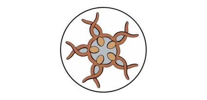 Dignity Pasifik logo