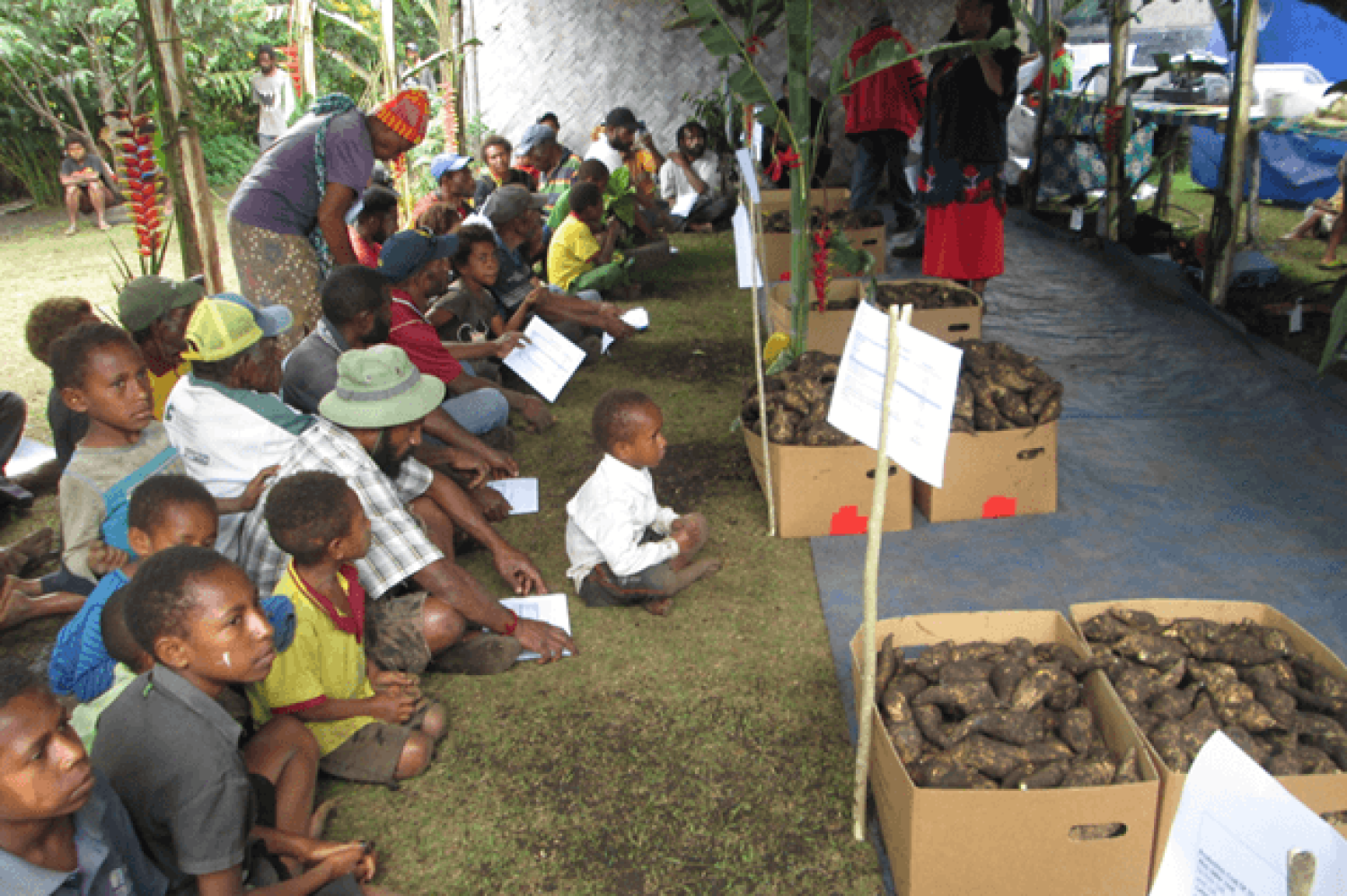Farmer engagement at FPDA's Field Trial site, Kuka village, Asaro Valley, Eastern Highlands province (Source: FPDA, 2021)