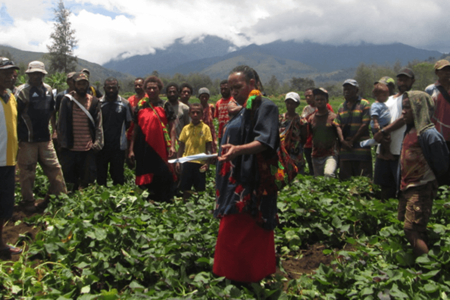 FPDA's Lonica Aris working with farmers at the Field Trial site in Kuka village, Asaro Valley, Eastern Highlands province (Source: FPDA 2020)
