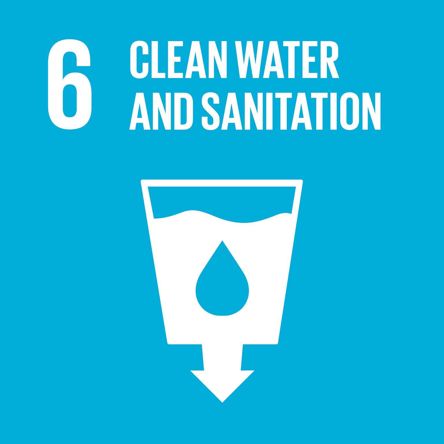 SDG 06 Logo