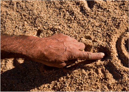 Research in Brief #2