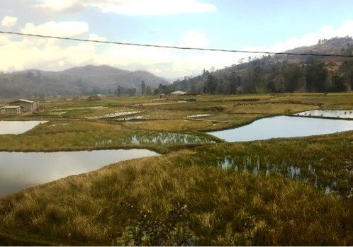 Research in Brief #7 The Importance of the Grassroots for Rural Development