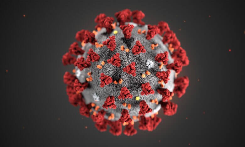 Novel coronavirus