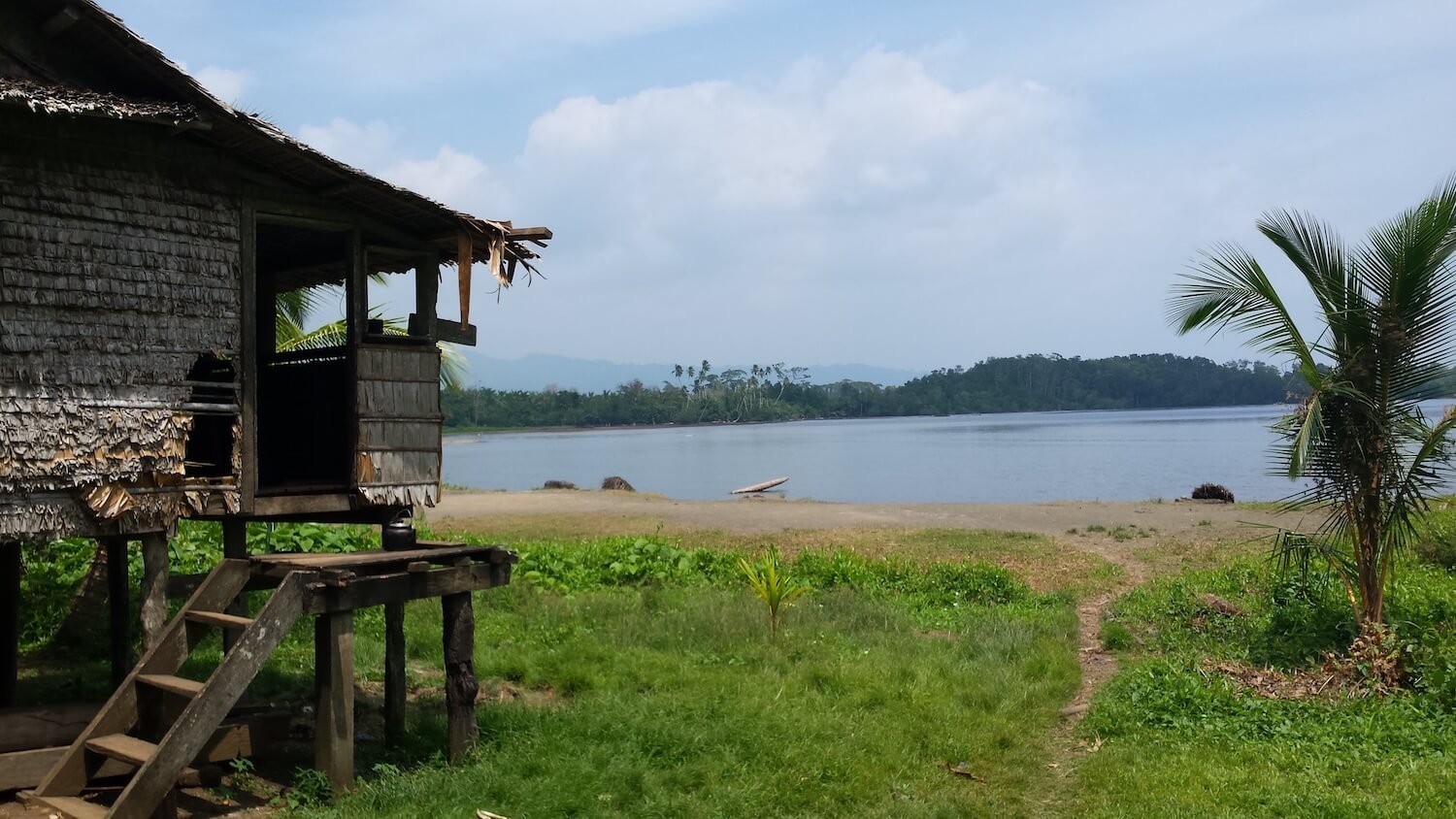 Photo from a fieldtrip of a thatched building overlooking water in Papua New Guinea, with a palm tree and grassy area