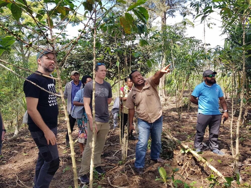 Mawe Gonapa (ANU PhD Candidate) pointing at something, Michael Dyer (Nakau), and Alex McClean (Nakau) discussing coffee agroforestry systems in a plantation in Kabiufa, near Goroka, PNG.