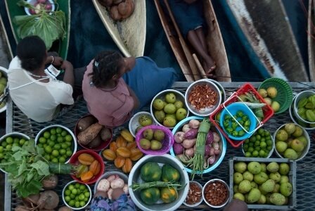 The Latest UNDP Human Development Index Rankings:  Further Evidence of Paradise Lost?