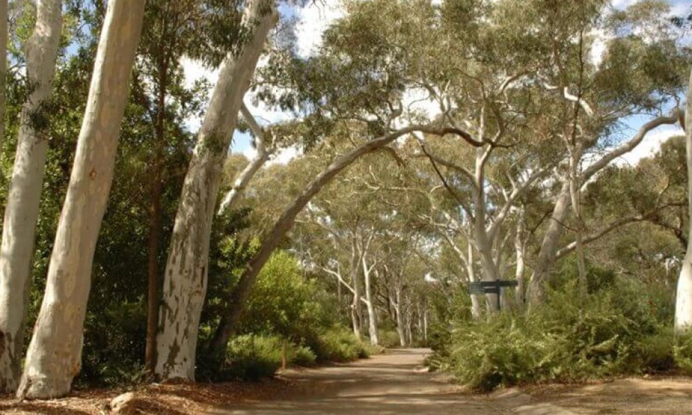 Australian National Botanic Gardens Management Plan 2012-2022