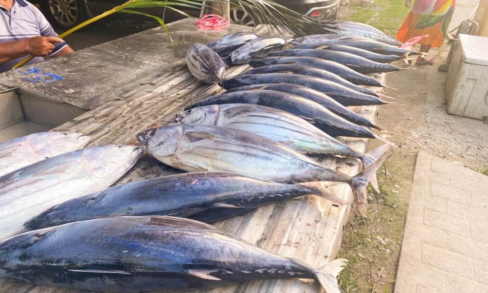 Fish on a market table