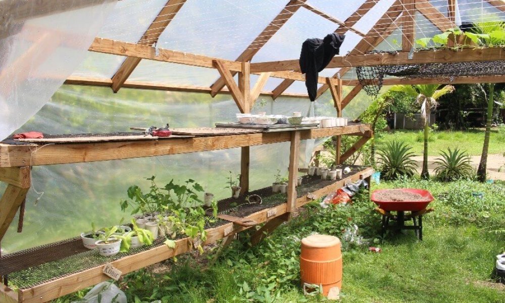 Garden (Food security project in FSM). Credit Kate Lanyon.
