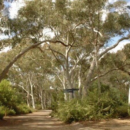 Australian National Botanic Gardens Management Plan 2012-2022