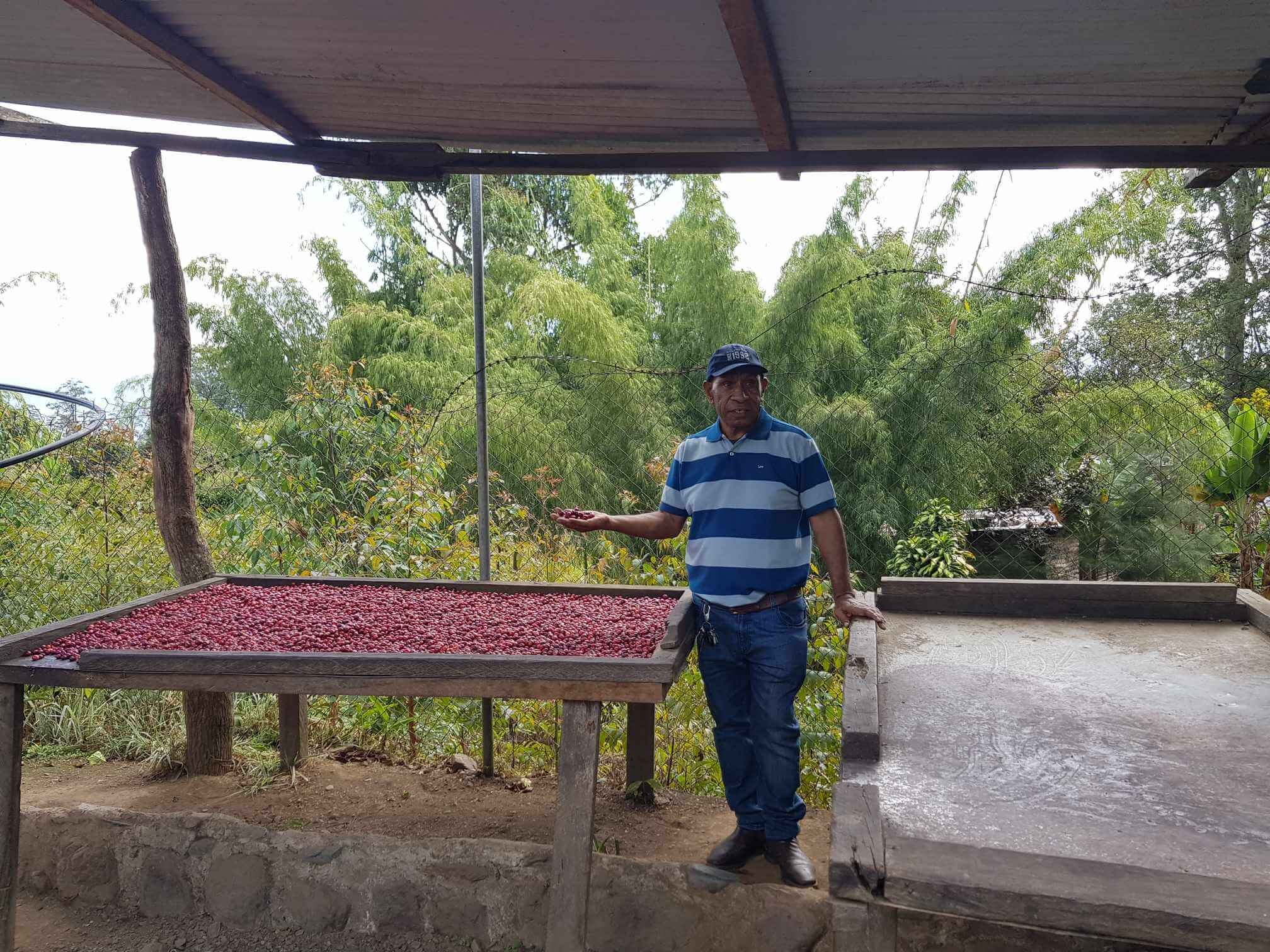Man standing next to a table of coffee cherries