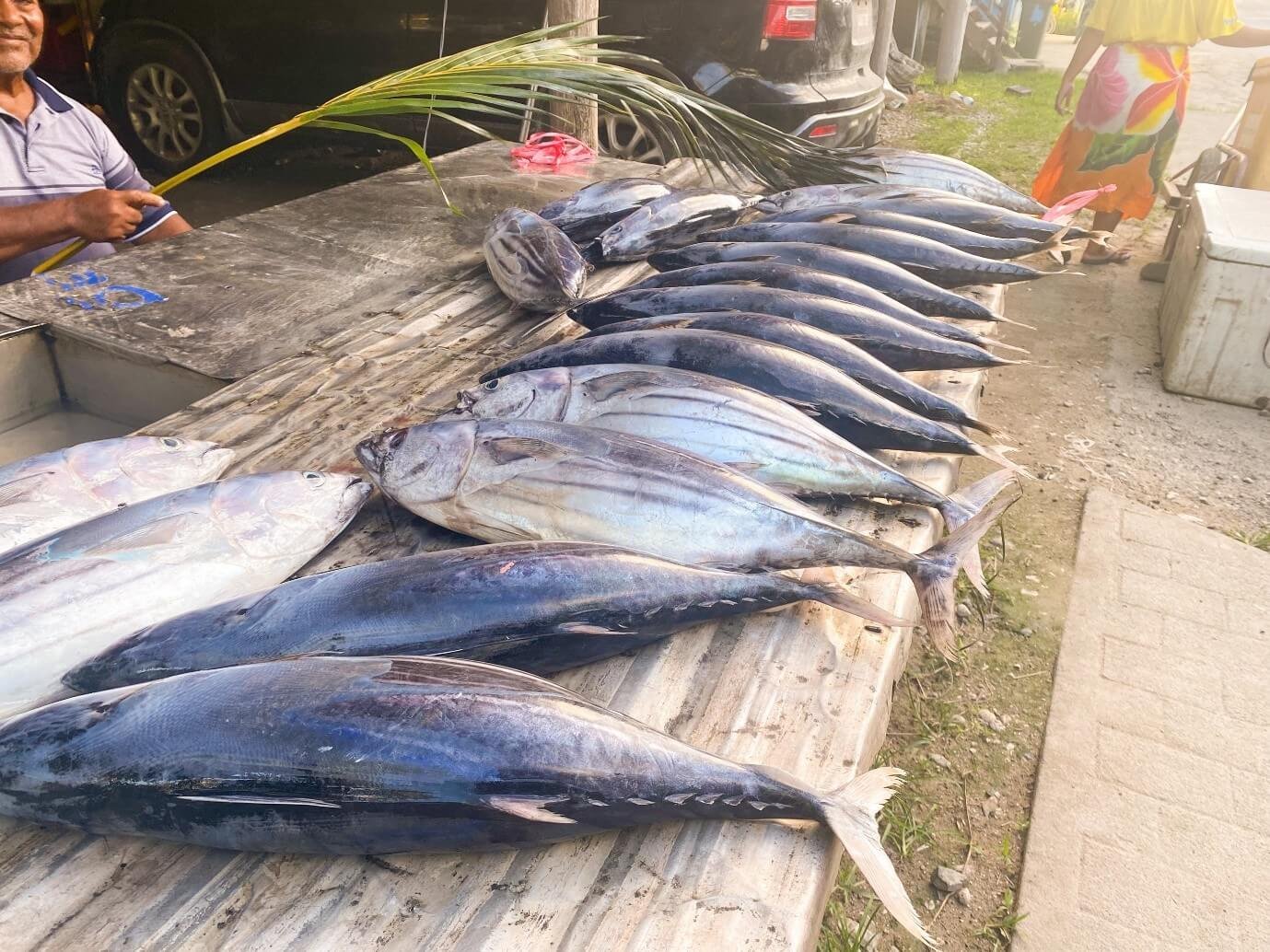 Fish on a market table