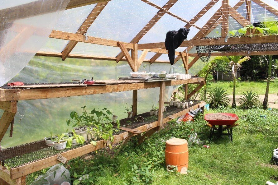 Garden (Food security project in FSM). Credit Kate Lanyon.