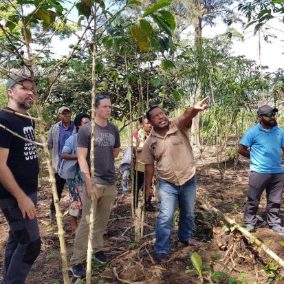 Mawe Gonapa (ANU PhD Candidate) pointing at something, Michael Dyer (Nakau), and Alex McClean (Nakau) discussing coffee agroforestry systems in a plantation in Kabiufa, near Goroka, PNG.