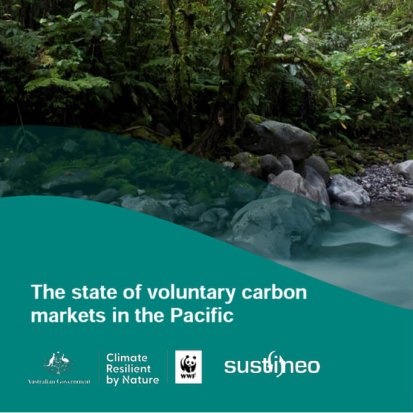 Cover of our report 'The state of voluntary carbon markets in the Pacific' featuring a photo of a rainforest with flowing water